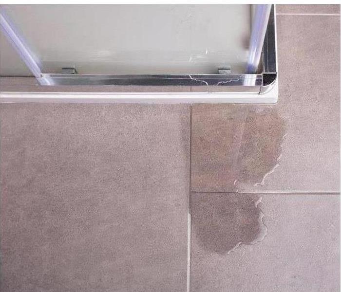 Water leaking on floor tiles from shower