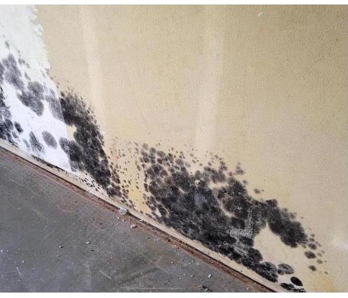 Wall with spots of black mold 