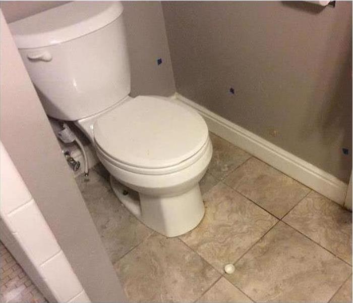 Overflowed white toilet in a reduced space. 