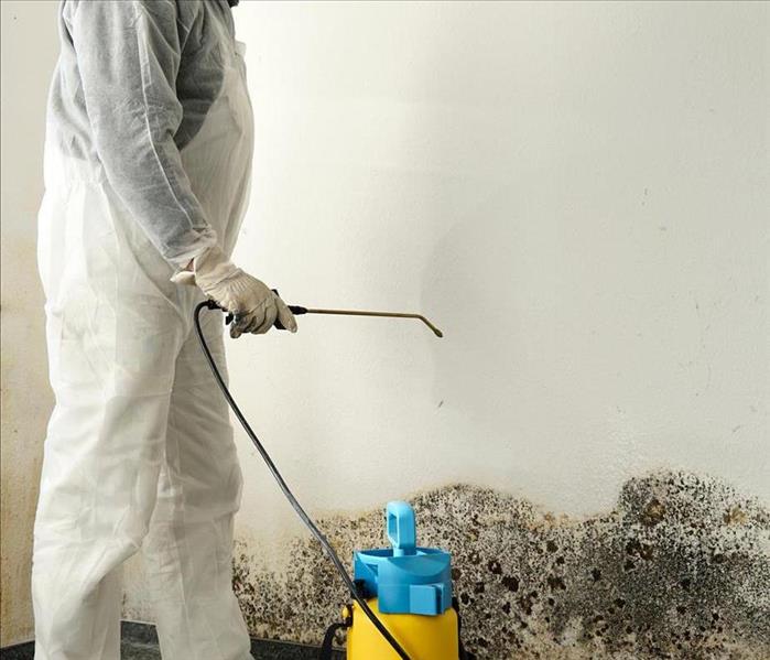 Man cleaning black mold.