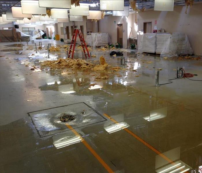 Standing water in commercial buiding, pieces of ceiling materials on floor after collapsing. 