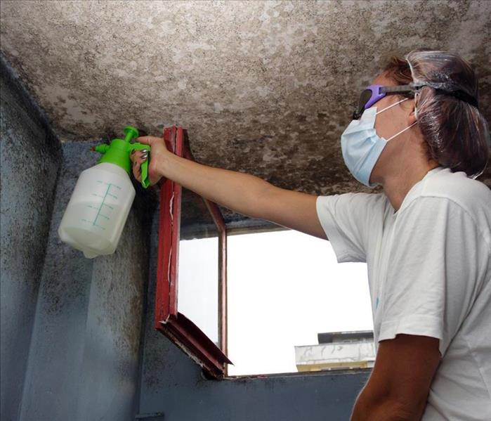 Image of a person wearing a maks is spraying mold found on the roof