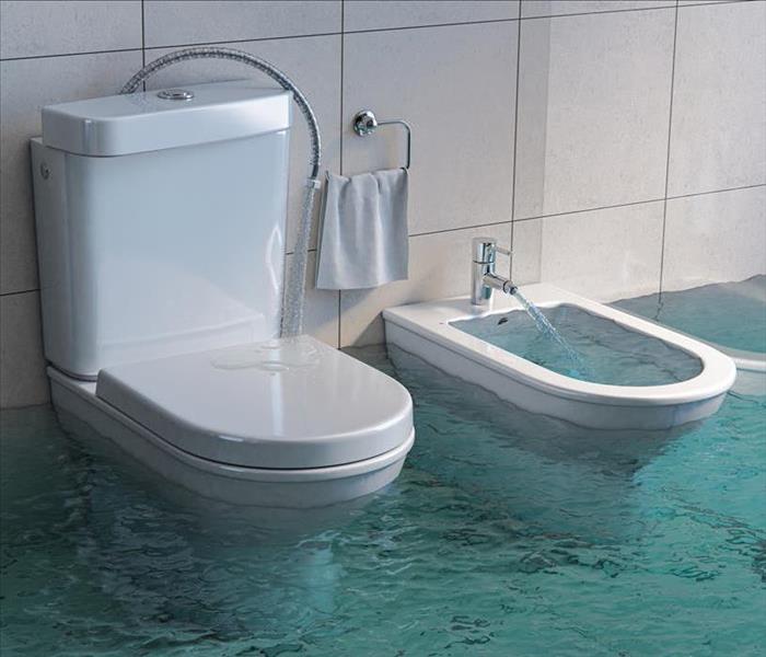 Image of a flooded toilet