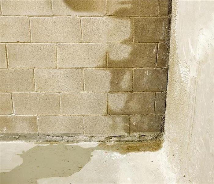 Image of a wall and half of it is full of moisture