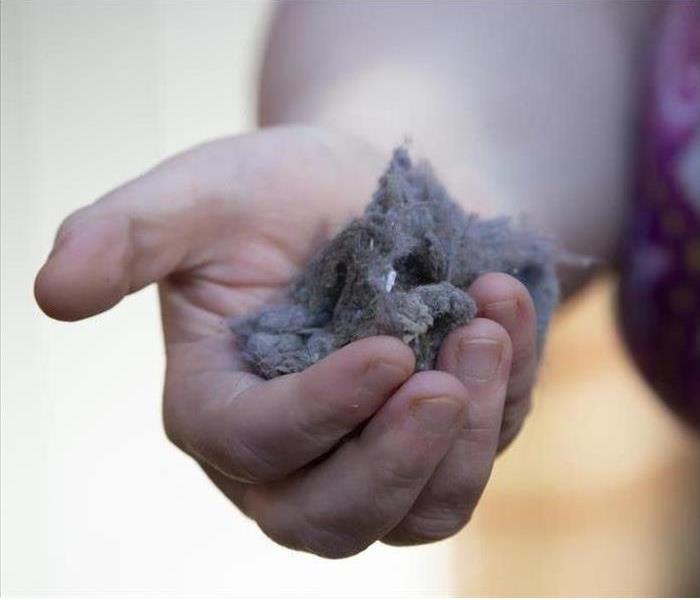 Image of a person holding lint